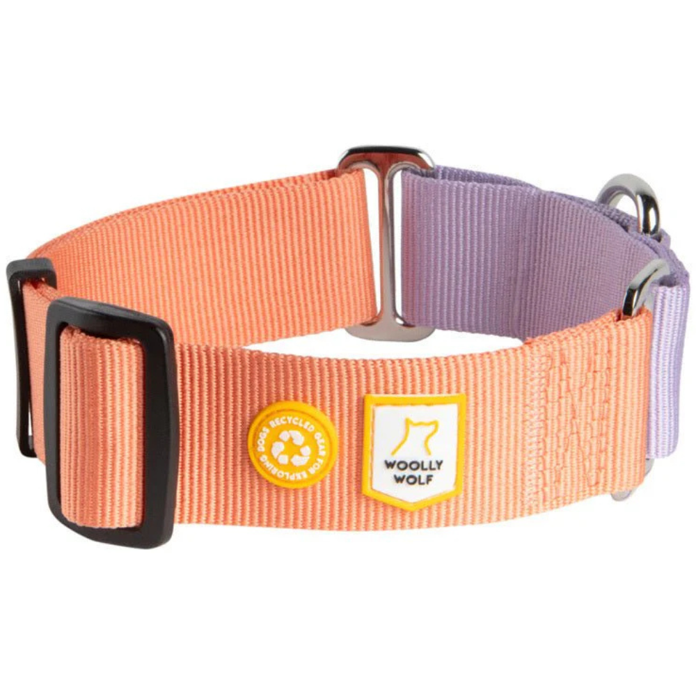 Woolly Wolf Color Block Martingale Collar S (25-35 cm) Salmon Pink Mix