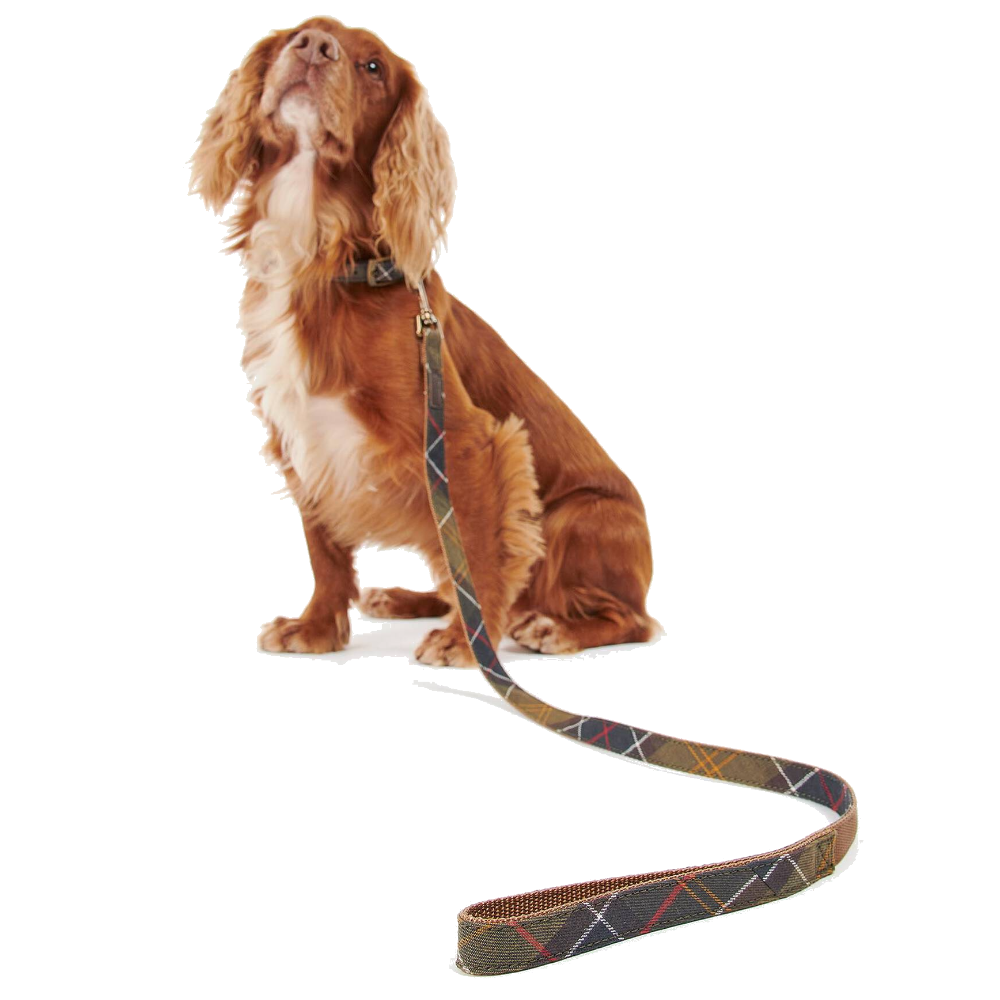 Barbour Tartan/Webbing Dog Lead