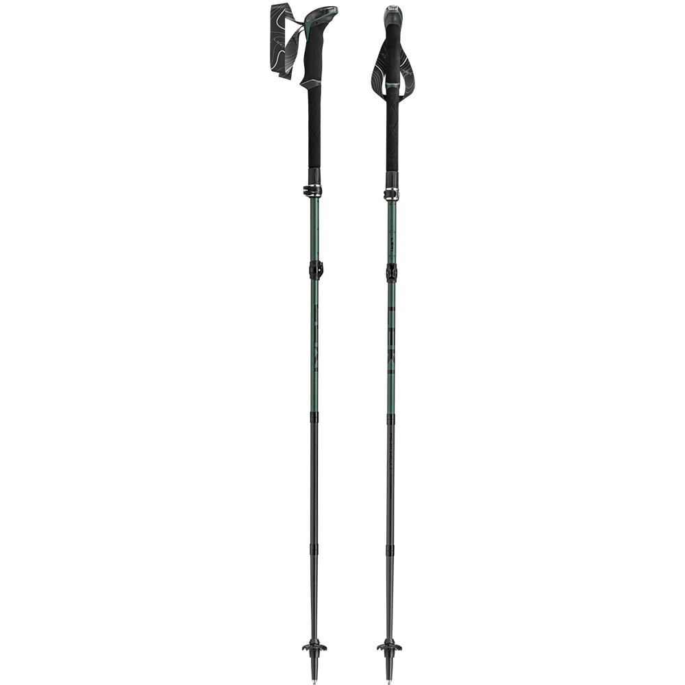 Leki Makalu FX Carbon Natural carbon/Malachite Green/Black