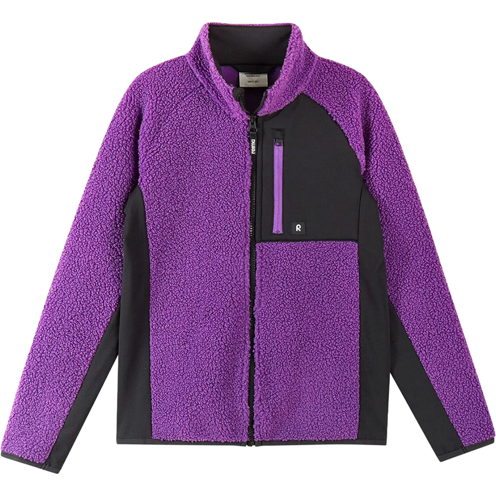 Plum Purple